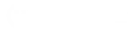 NTT Data Logo